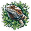 Bearded Dragon