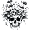 Mushroom Skull