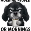 I Dont Like Morning People