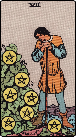Pentacles 7 Tarot